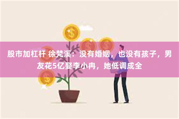 股市加杠杆 徐梵溪：没有婚姻，也没有孩子，男友花5亿娶李小冉，她低调成全