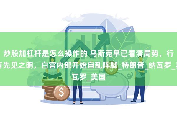 炒股加杠杆是怎么操作的 马斯克早已看清局势，行事有先见之明，白宫内部开始自乱阵脚_特朗普_纳瓦罗_美国