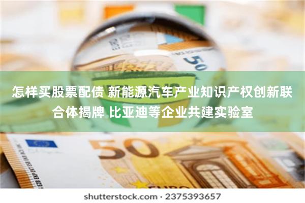 怎样买股票配债 新能源汽车产业知识产权创新联合体揭牌 比亚迪等企业共建实验室