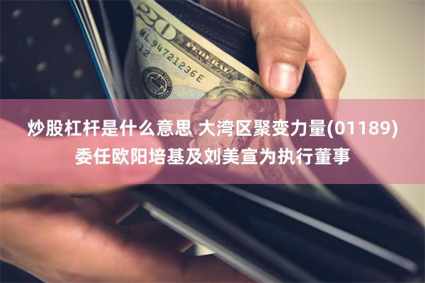 炒股杠杆是什么意思 大湾区聚变力量(01189)委任欧阳培基及刘美宣为执行董事