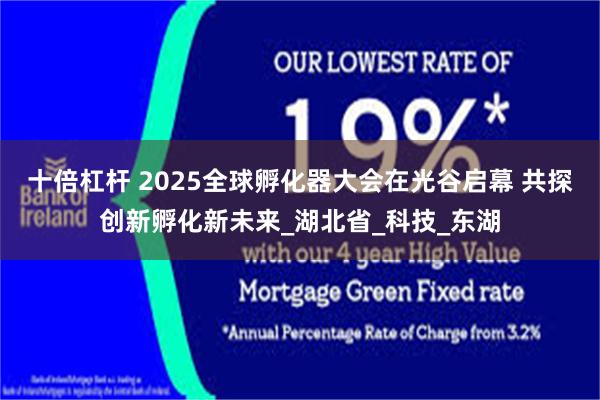 十倍杠杆 2025全球孵化器大会在光谷启幕 共探创新孵化新未来_湖北省_科技_东湖