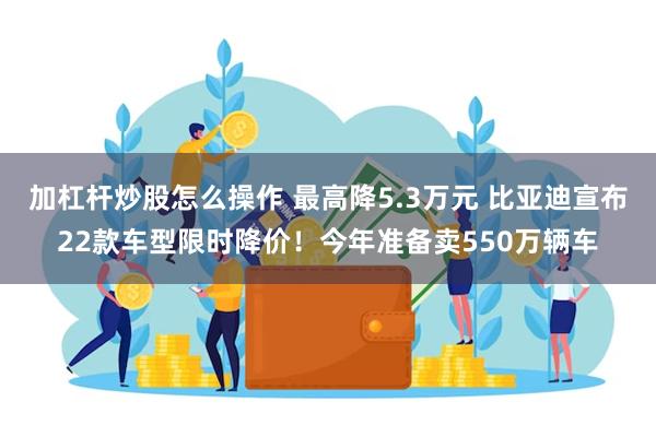 加杠杆炒股怎么操作 最高降5.3万元 比亚迪宣布22款车型限时降价！今年准备卖550万辆车