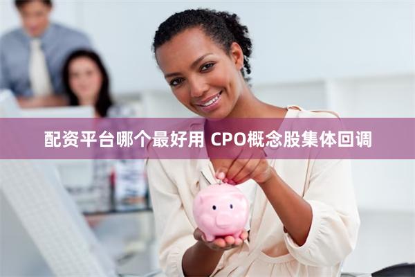 配资平台哪个最好用 CPO概念股集体回调