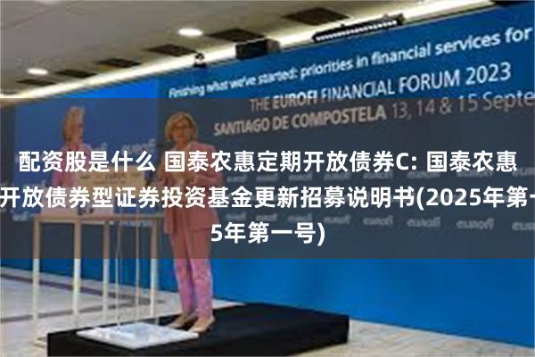 配资股是什么 国泰农惠定期开放债券C: 国泰农惠定期开放债券型证券投资基金更新招募说明书(2025年第一号)