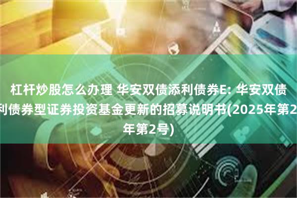 杠杆炒股怎么办理 华安双债添利债券E: 华安双债添利债券型证券投资基金更新的招募说明书(2025年第2号)