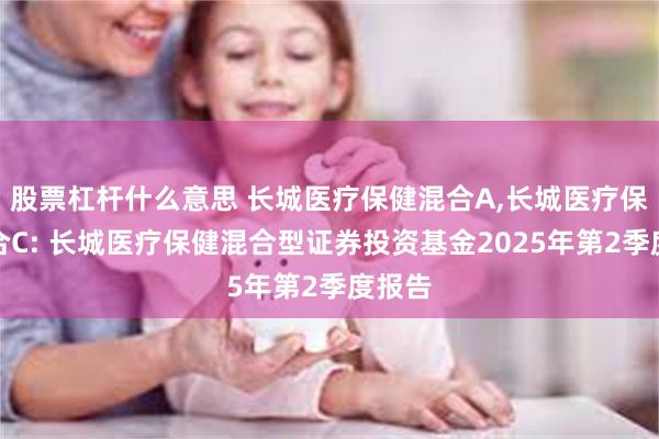 股票杠杆什么意思 长城医疗保健混合A,长城医疗保健混合C: 长城医疗保健混合型证券投资基金2025年第2季度报告