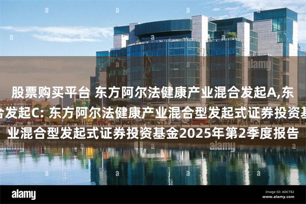 股票购买平台 东方阿尔法健康产业混合发起A,东方阿尔法健康产业混合发起C: 东方阿尔法健康产业混合型发起式证券投资基金2025年第2季度报告