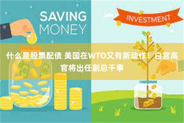 什么是股票配债 美国在WTO又有新动作！白宫高官将出任副总干事