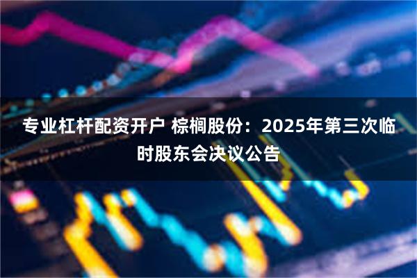 专业杠杆配资开户 棕榈股份：2025年第三次临时股东会决议公告