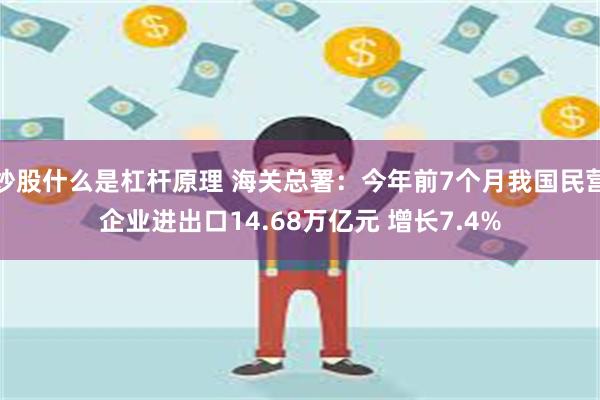 炒股什么是杠杆原理 海关总署：今年前7个月我国民营企业进出口14.68万亿元 增长7.4%