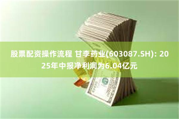 股票配资操作流程 甘李药业(603087.SH): 2025年中报净利润为6.04亿元