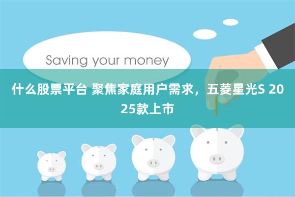 什么股票平台 聚焦家庭用户需求，五菱星光S 2025款上市