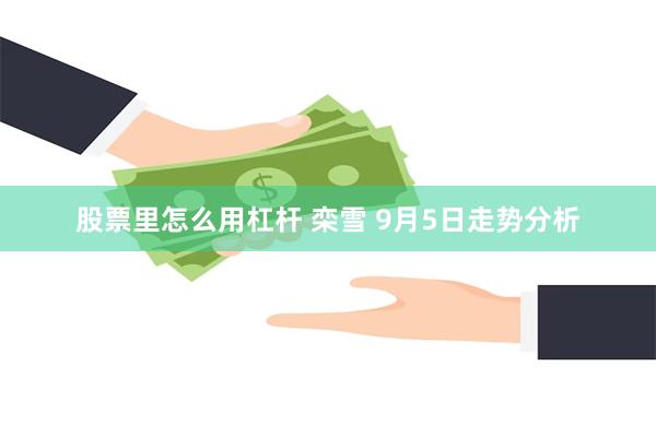 股票里怎么用杠杆 栾雪 9月5日走势分析