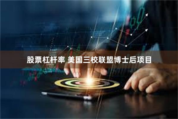 股票杠杆率 美国三校联盟博士后项目